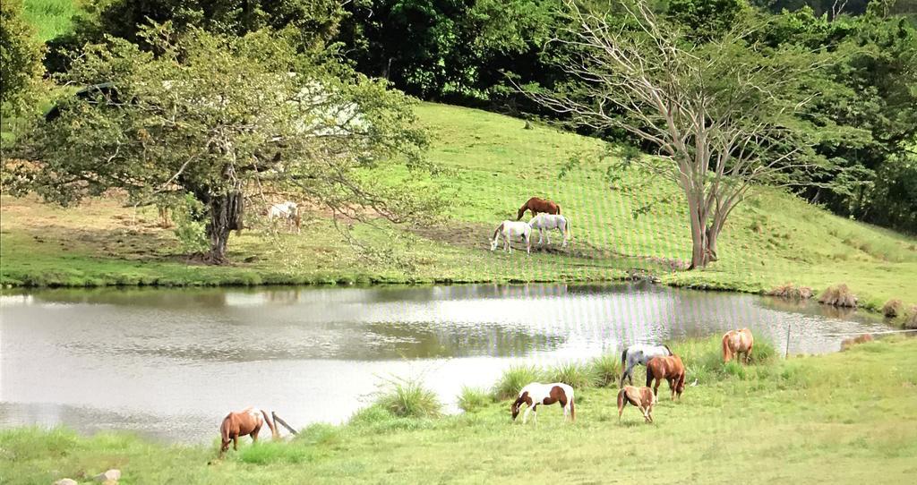 Villa La Ferme des Etangs à Riviere-Salee Extérieur photo